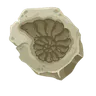 Fossil tank decoration